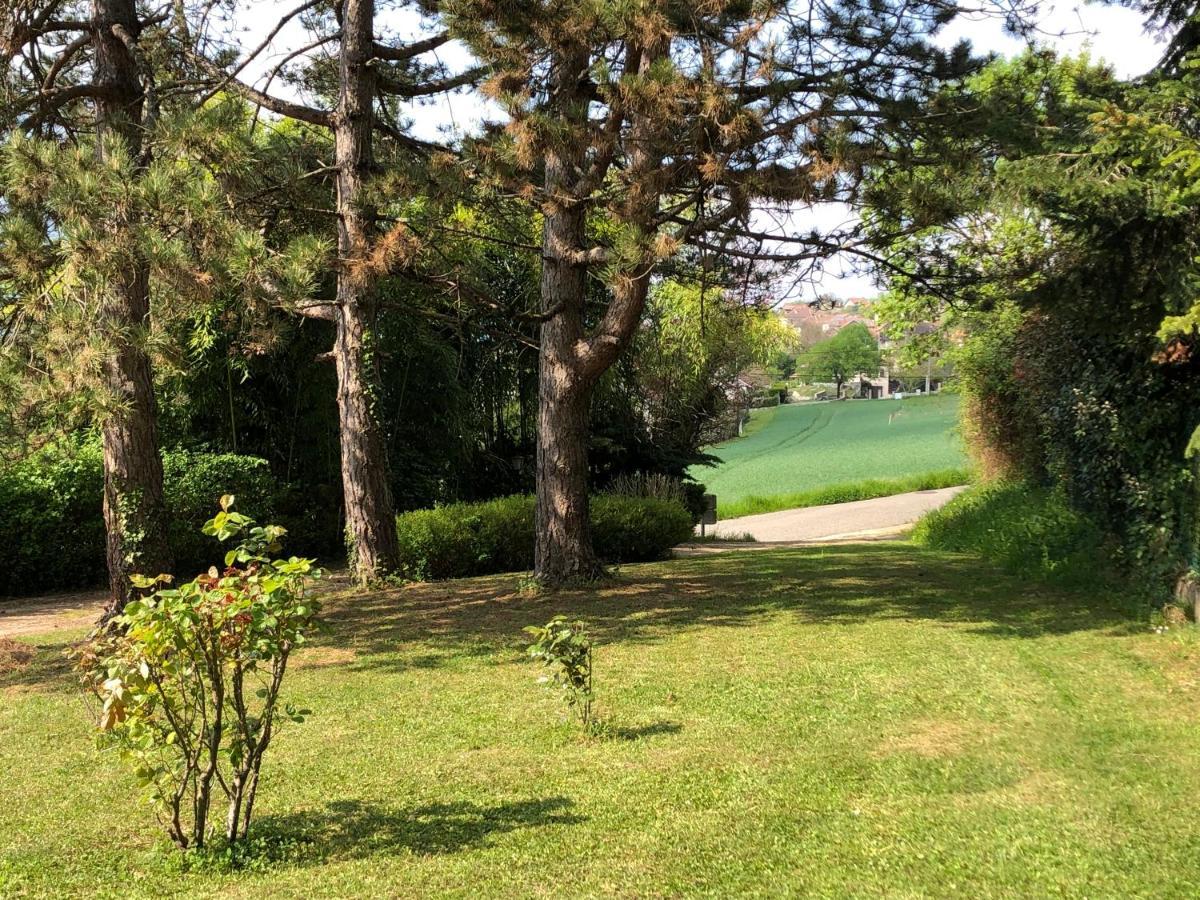 Maison De Lilie Villa Chindrieux Ngoại thất bức ảnh